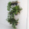 Lovely Display Indoor Plants17