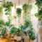 Lovely Display Indoor Plants27