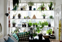 Lovely Display Indoor Plants29
