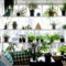 Lovely Display Indoor Plants29