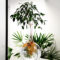 Lovely Display Indoor Plants33