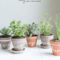 Simple Indoor Herb Garden Ideas For More Healthy Home Air20