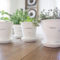 Simple Indoor Herb Garden Ideas For More Healthy Home Air21