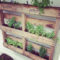 Simple Indoor Herb Garden Ideas For More Healthy Home Air26