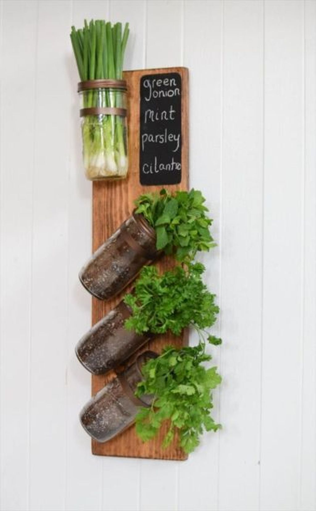 Simple Indoor Herb Garden Ideas For More Healthy Home Air27