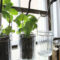 Simple Indoor Herb Garden Ideas For More Healthy Home Air34