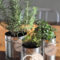 Simple Indoor Herb Garden Ideas For More Healthy Home Air42
