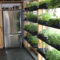 Simple Indoor Herb Garden Ideas For More Healthy Home Air45