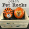 Simple Painted Rock Ideas For Garden37