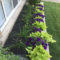 Incredible Flower Bed Design Ideas For Your Small Front Landscaping14