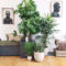 Awesome Indoor Plant Decoration Ideas To Make Natural Comfort In Your Home01