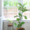 Awesome Indoor Plant Decoration Ideas To Make Natural Comfort In Your Home06