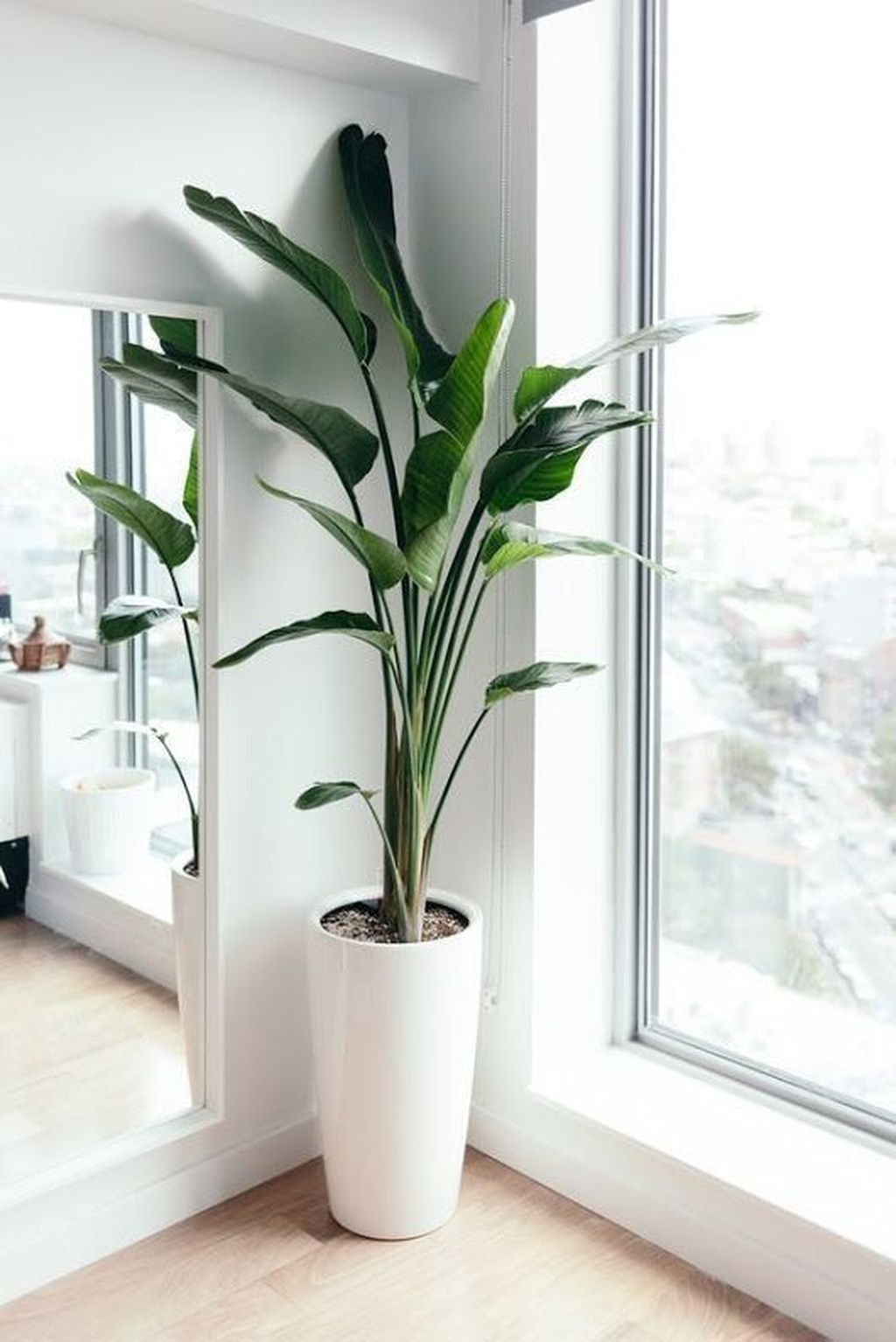Awesome Indoor Plant Decoration Ideas To Make Natural Comfort In Your Home07