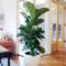 Awesome Indoor Plant Decoration Ideas To Make Natural Comfort In Your Home09