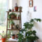 Awesome Indoor Plant Decoration Ideas To Make Natural Comfort In Your Home12