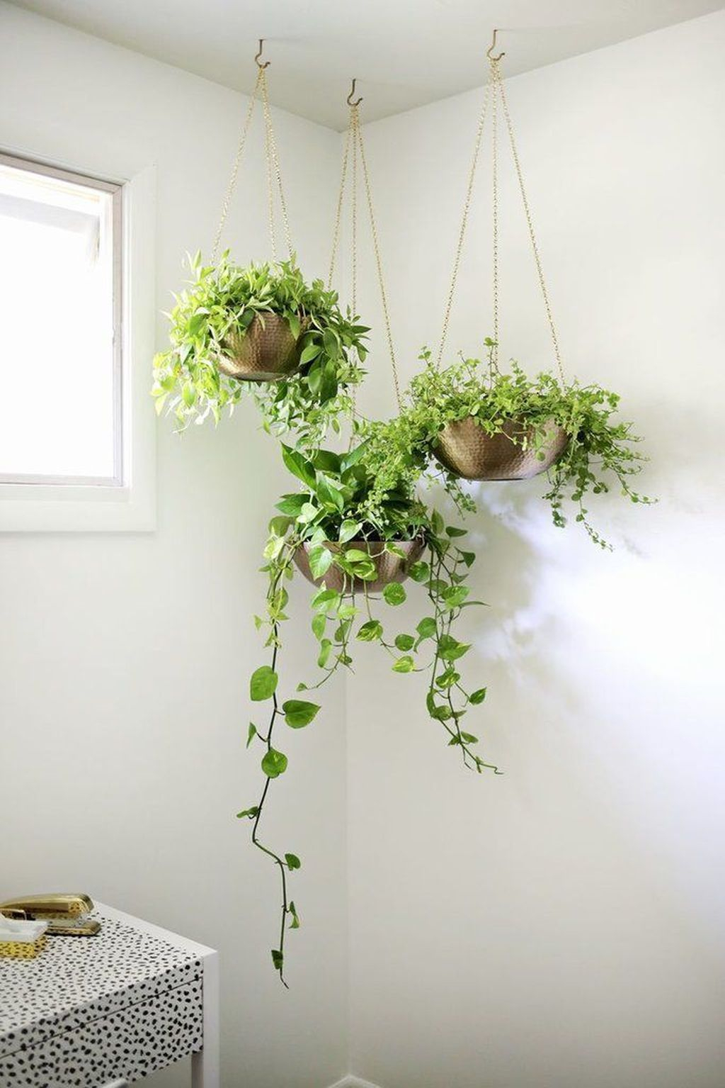 Awesome Indoor Plant Decoration Ideas To Make Natural Comfort In Your Home15