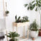 Awesome Indoor Plant Decoration Ideas To Make Natural Comfort In Your Home21