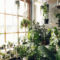 Awesome Indoor Plant Decoration Ideas To Make Natural Comfort In Your Home25
