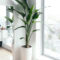 Awesome Indoor Plant Decoration Ideas To Make Natural Comfort In Your Home29