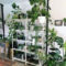 Awesome Indoor Plant Decoration Ideas To Make Natural Comfort In Your Home30