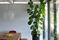 Awesome Indoor Plant Decoration Ideas To Make Natural Comfort In Your Home33