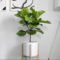 Awesome Indoor Plant Decoration Ideas To Make Natural Comfort In Your Home34