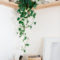 Awesome Indoor Plant Decoration Ideas To Make Natural Comfort In Your Home38