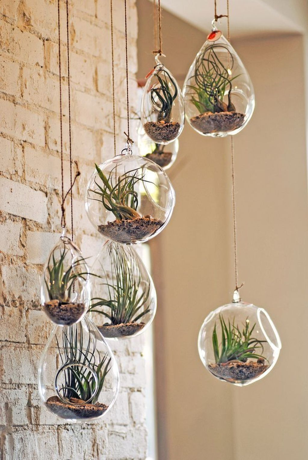 Awesome Indoor Plant Decoration Ideas To Make Natural Comfort In Your Home39