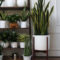 Awesome Indoor Plant Decoration Ideas To Make Natural Comfort In Your Home46