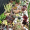 Gorgeous Succulent Garden Ideas For Your Backyard01