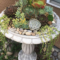 Gorgeous Succulent Garden Ideas For Your Backyard06