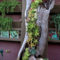 Gorgeous Succulent Garden Ideas For Your Backyard16