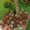 Gorgeous Succulent Garden Ideas For Your Backyard21