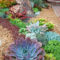 Gorgeous Succulent Garden Ideas For Your Backyard25