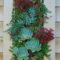 Gorgeous Succulent Garden Ideas For Your Backyard29