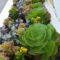 Gorgeous Succulent Garden Ideas For Your Backyard30