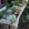 Gorgeous Succulent Garden Ideas For Your Backyard39