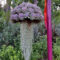 Gorgeous Succulent Garden Ideas For Your Backyard45