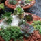 Gorgeous Succulent Garden Ideas For Your Backyard47