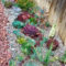 Gorgeous Succulent Garden Ideas For Your Backyard50