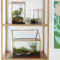 Unique And Beautiful Terrarium Design Ideas To Decorate Your Home02