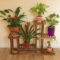 Awesome Diy Plant Shelf Design Ideas To Organize Your Garden06