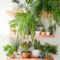 Awesome Diy Plant Shelf Design Ideas To Organize Your Garden29