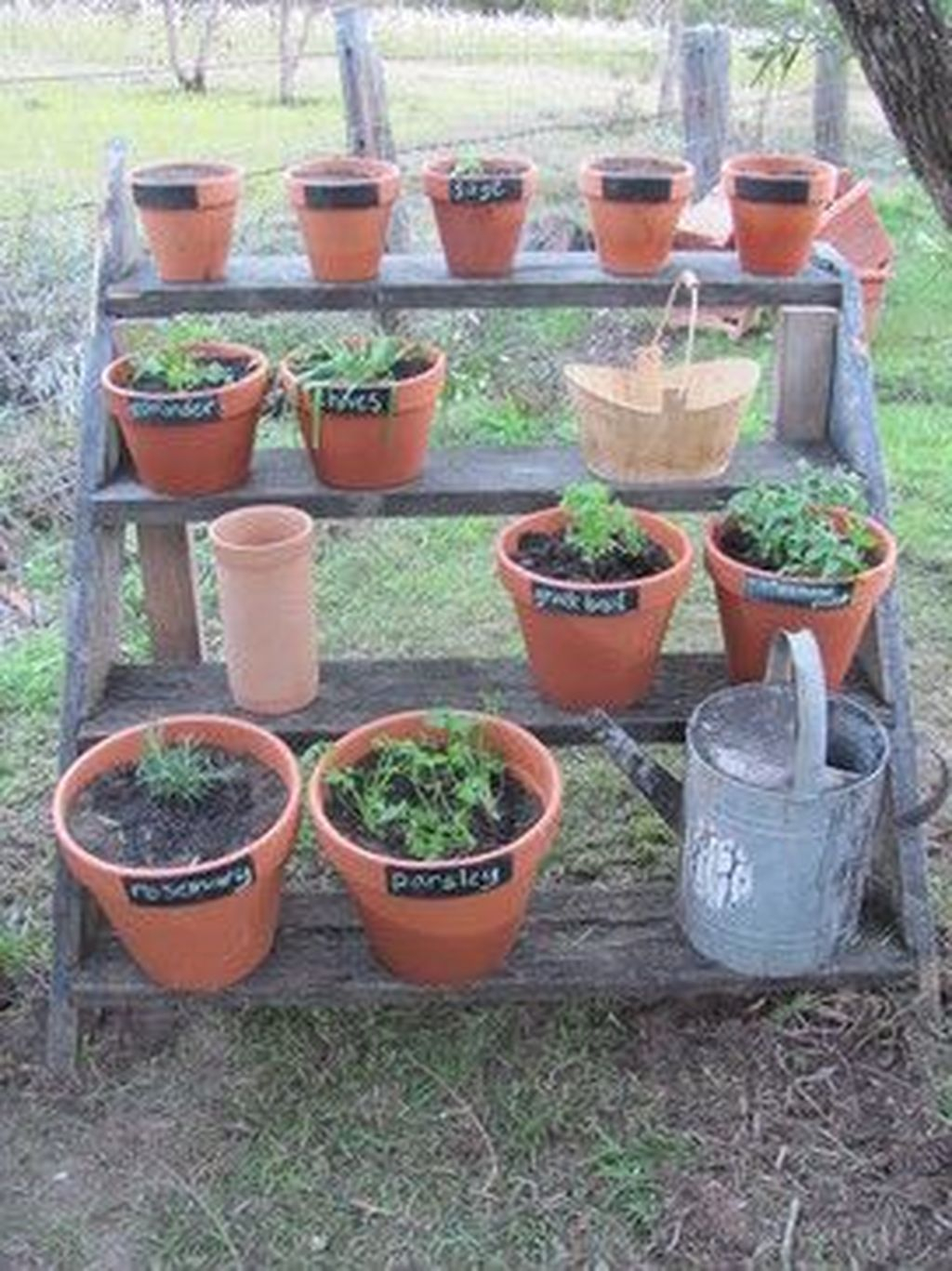 Awesome Diy Plant Shelf Design Ideas To Organize Your Garden38