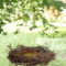 Bird Bath Design Ideas For Your Backyard Inspiration43