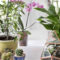 Indoor Garden Design For Easy And Cheap Home Ideas14