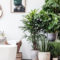 Indoor Garden Design For Easy And Cheap Home Ideas36