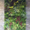 Succulents Living Walls Vertical Gardens Ideas03