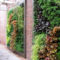 Succulents Living Walls Vertical Gardens Ideas05