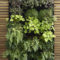 Succulents Living Walls Vertical Gardens Ideas11
